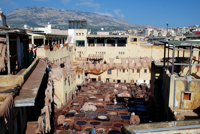Tanneries & Leather